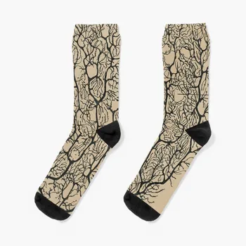 Cajal neurônios esboço Meias pretas meias Engraçado meias de homem de Rugby