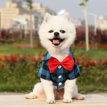Cão Terno de Roupa Sólido Moda Pet Casaco para Cães Pequenos Casamento, Aniversário, Festa de Roupa Traje