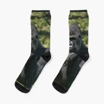 Silverback Gorila Retrato Meias das Mulheres de meias de compressão sapatos, meias de inverno