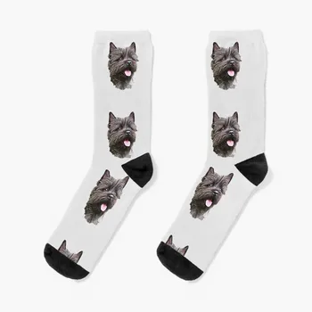 Cairn Terrier Cutie Meias anime meias mover meias meia homens