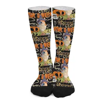 Engraçado Halloween Bruxa Cão Corgi Abóbora Jack-O-Lantern Meias meias de algodão Meias
