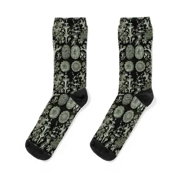 História Natural Líquen Meias de Mulher curtas meias meias de homem engraçado meias para homens meias de algodão homens